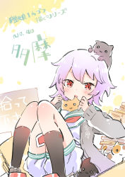 Rule 34 | 10s, 1girl, :3, :d, animal, black socks, blush, book, book stack, cat, kantai collection, kneehighs, on head, open mouth, pink hair, puffy pants, purple hair, red eyes, school uniform, serafuku, short hair, shorts, simple background, sitting, smile, socks, sodapop (iemaki), solo, tama (kancolle), too many, too many cats, white background