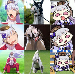 Rule 34 | 1girl, :3, animal ears, commentary, floating hair, gold ship (racehorse), gold ship (umamusume), grey hair, head tilt, highres, horse, horse ears, jacket, jazz jack, looking at viewer, multiple views, pants, photo-referenced, purple eyes, school uniform, stitched, third-party edit, tongue, tongue out, tracen school uniform, track jacket, track pants, umamusume