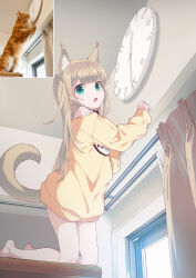 Rule 34 | 1girl, 40hara, animal ear fluff, animal ears, blunt bangs, cat, cat ears, cat tail, clock, collar, curtains, flipped hair, green eyes, hands up, highres, indoors, kinako (40hara), kneeling, light brown hair, long hair, long sleeves, looking at viewer, off-shoulder shirt, off shoulder, on table, open mouth, original, photo inset, print shirt, red collar, shirt, solo, straight hair, table, tail, teeth, very long hair, window, yellow curtain, yellow shirt