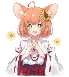 Rule 34 | 1girl, ahoge, animal ear fluff, animal ears, artist name, blush, breasts, brown eyes, captain yue, commentary request, copyright request, detached sleeves, flower, hair flower, hair ornament, hamster ears, happy, japanese clothes, kemonomimi mode, kimono, large breasts, looking at viewer, short hair, simple background, smile, solo, sunflower, sunflower hair ornament, teeth, upper teeth only, virtual youtuber, white background, white kimono, wide sleeves
