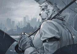 Rule 34 | 1boy, alternate costume, animal ears, arknights, arm belt, cityscape, cloud, cloudy sky, from side, furry, furry male, highres, holding, holding umbrella, lalatia-meai, large pectorals, male focus, mountain (arknights), muscular, muscular male, pectorals, rain, scar, scar across eye, scar on face, short hair, sky, solo, thick eyebrows, tiger boy, tiger ears, umbrella, upper body, white fur, white hair