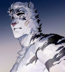Rule 34 | 1boy, animal ears, arknights, bandaid, bandaid on cheek, bandaid on face, bara, completely nude, fluffy, furry, furry male, large pectorals, maiyabuhantang, male focus, mountain (arknights), muscular, muscular male, no scar, nude, pectorals, portrait, short hair, solo, tail, tiger boy, tiger ears, tiger tail, upper body, white fur, white hair, wind, aged down