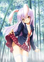 Rule 34 | 1girl, animal ears, bamboo, bamboo forest, blazer, blush, breasts, cleavage, clothes lift, crescent, dress shirt, female focus, forest, jacket, long hair, miniskirt, nature, necktie, no bra, open clothes, open shirt, panties, pink hair, pink panties, plaid, plaid skirt, pleated skirt, rabbit ears, red eyes, red necktie, red skirt, reisen udongein inaba, seminoyu, shirt, skirt, skirt lift, small breasts, smile, solo, thighhighs, touhou, underwear, upskirt, white panties, white thighhighs