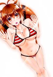 Rule 34 | 1girl, against glass, animal ears, antenna hair, bikini, blazblue, breast press, breasts, breasts on glass, brown eyes, brown hair, chukachuka, feet out of frame, glass, highres, large breasts, looking at viewer, makoto nanaya, multicolored hair, navel, open mouth, outline, simple background, solo, squirrel ears, squirrel tail, striped bikini, striped clothes, swimsuit, tail, two-tone hair, white background