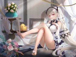 Rule 34 | 1girl, azur lane, bare legs, barefoot, black nails, black sailor collar, blush, breasts, bridal gauntlets, closed mouth, commentary request, crossed legs, dress, feet, feet up, flower, holding with feet, formidable (azur lane), formidable (timeless classics) (azur lane), full body, hair between eyes, hair ribbon, hand on own chest, highres, indoors, knees up, large breasts, legs, liu liaoliao, long hair, looking at viewer, manjuu (azur lane), nail polish, official alternate costume, pink flower, plant, potted plant, red eyes, revision, ribbon, sailor collar, sitting, solo, toenail polish, toenails, toes, twintails, veil, very long hair, white dress, white flower, white hair