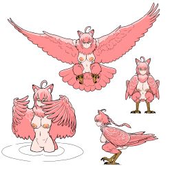 Rule 34 | 1girl, ahoge, animal ear fluff, animal ears, animal feet, bird legs, bird tail, blue eyes, breasts, capiocapan, cat ears, cleft of venus, completely nude, feathered wings, feathers, harpy, highres, medium breasts, monster girl, multiple views, neck ruff, nipples, nude, original, pink feathers, pink hair, pink wings, ponytail, pussy, simple background, tail, white background, winged arms, wings