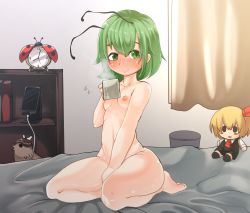 Rule 34 | 1girl, alarm clock, antennae, between legs, blush, book, breasts, bug, cellphone, character doll, charging device, clock, closed mouth, commentary request, completely nude, cup, curtains, flying sweatdrops, full body, green eyes, green hair, hair between eyes, hand between legs, holding, holding cup, indoors, insect, ladybug, looking at viewer, mug, mystia lorelei, mystia lorelei (bird), nipples, nude, on bed, phone, rumia, seiza, shelf, short hair, sitting, small breasts, smartphone, smile, solo, thighs, touhou, trash can, unimamo, wriggle nightbug