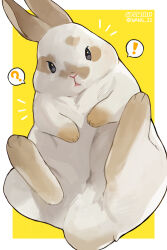 Rule 34 | !, ?, absurdres, animal focus, black eyes, border, dated, full body, highres, looking at viewer, nang z1, no humans, original, outside border, rabbit, speech bubble, spoken exclamation mark, spoken question mark, twitter username, white border, white rabbit (animal), yellow background