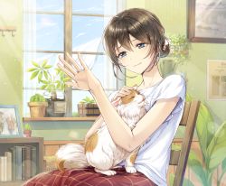 Rule 34 | 1girl, animal, animal on lap, blue eyes, blue sky, book, bookshelf, brown hair, cactus, cat, cat on lap, chair, closed mouth, cloud, commentary request, curtains, day, hair between eyes, hair bun, hand up, head tilt, indoors, jewelry, looking away, mono lith, on lap, original, photo (object), picture frame, plant, potted plant, red skirt, revision, ring, shirt, short sleeves, single hair bun, sitting, skirt, sky, smile, solo, sunlight, transparent, wedding band, white shirt, window