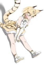 Rule 34 | 1girl, absurdres, animal ear fluff, animal ears, blonde hair, bow, bowtie, cat ears, cat girl, cat tail, commentary, elbow gloves, extra ears, full body, gloves, hair between eyes, high-waist skirt, highres, kemono friends, looking away, print bow, print gloves, print skirt, sand cat (kemono friends), sand cat print, shirt, short hair, simple background, sitting, skirt, solo, tail, tanabe (fueisei), white background, white shirt, yellow eyes