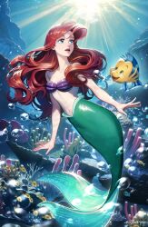 Rule 34 | 1girl, absurdres, ariel (disney), bare shoulders, blue eyes, breasts, cleavage, earrings, fins, fish, fish tail, flounder (the little mermaid), highres, jewelry, long hair, looking up, mermaid, midriff, monster girl, open mouth, ponsu (ponzuxponzu), red hair, red lips, shell, shell bikini, shell earrings, small breasts, split tail, tail, the little mermaid, underwater