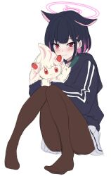 Rule 34 | 1girl, absurdres, alcremie, animal, animal ears, black choker, black hair, black hoodie, blue archive, blunt bangs, blush, bob cut, brown pantyhose, cat ears, choker, closed mouth, colored inner hair, commentary request, commission, convenient leg, creatures (company), extra ears, game freak, gen 8 pokemon, hair ornament, hairclip, halo, happy, hibika, highres, holding, holding animal, hood, hood down, hoodie, kazusa (blue archive), knees together feet apart, long sleeves, looking at viewer, multicolored hair, nintendo, no shoes, pantyhose, pink hair, pink halo, pokemon, red eyes, short hair, simple background, sitting, skeb commission, sketch, smile, solo, tsurime, unfinished, white background