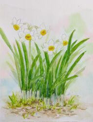 Rule 34 | flower, grass, highres, no humans, original, painting (medium), plant, realistic, road, street, tall grass, traditional media, watercolor (medium), white flower, yamaji nao