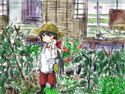 Rule 34 | 1girl, alternate costume, apron, bad id, bad pixiv id, black hair, blush stickers, boots, bow, cucumber, eggplant, expressionless, faux traditional media, garden, gardening, glass, hair bow, hair tubes, hakurei reimu, hat, jitome, mojikakiya, pants, pitcher (container), plant, ponytail, sliding doors, solo, straw hat, sweat, table, tatami, tomato, touhou, veranda, vines, wind chime, wiping face