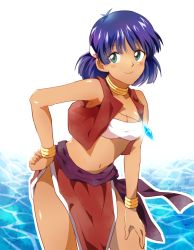 Rule 34 | 1girl, bandeau, bare shoulders, bracelet, breasts, cleavage, closed mouth, commentary request, cowboy shot, dark-skinned female, dark skin, fushigi no umi no nadia, green eyes, hair ornament, hairclip, hand on own hip, highres, jewelry, leaning forward, loincloth, looking at viewer, medium breasts, midriff, nadia la arwall, neck ring, necklace, outline, pelvic curtain, purple hair, short hair, smile, solo, standing, strapless, tube top, vest