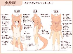 Rule 34 | 1girl, absurdres, animal ears, ass, blush, dog ears, flat chest, furry, furry female, fuu (frol), highres, kohaku (fuu), long hair, looking at viewer, multiple views, nude, original, profile, simple background, smile, tail, translation request, turnaround, white background