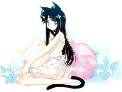 Rule 34 | 1girl, animal ears, barefoot, black hair, blue eyes, cat ears, cat tail, long hair, motomiya mitsuki, original, pillow, sitting, sketch, solo, tail, wariza
