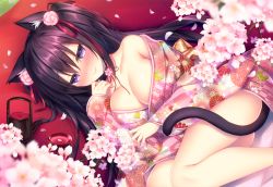 Rule 34 | 1girl, animal ear fluff, animal ears, bare shoulders, blush, breasts, cat ears, cat girl, cat tail, cherry blossoms, cleavage, commentary request, floral print, hair between eyes, hair ornament, hanami, japanese clothes, kimono, large breasts, long hair, looking at viewer, lying, off shoulder, on side, original, purple eyes, purple hair, sidelocks, smile, solo, sorai shin&#039;ya, tail