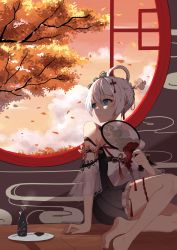 Rule 34 | 1girl, absurdres, alcohol, bare shoulders, barefoot, blue eyes, braid, braided ponytail, chinese clothes, closed mouth, cloud, cloudy sky, cup, drinking glass, hair between eyes, hair ornament, hand fan, highres, holding, holding fan, honkai (series), honkai impact 3rd, indoors, leaf, mush (mushlicious), on floor, petals, plate, sitting, sky, sleeveless, soles, solo, sunset, theresa apocalypse, zhuge kongming (honkai impact), toes, tree, white hair, window, wine, wine glass, zhuge kongming (honkai impact)