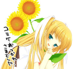 Rule 34 | blonde hair, flower, fuyuichi, hair ornament, little busters!, solo, sunflower, tokido saya