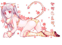 Rule 34 | 1girl, all fours, animal ears, animal print, ari (pixiv), bikini, boots, female focus, full body, gensou suikoden, gensou suikoden ii, halftone, halftone background, long hair, red eyes, sierra mikain, solo, swimsuit, tail, tiger ears, tiger print, tiger tail, white background, white hair
