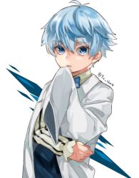 Rule 34 | 10s, 1boy, bad id, bad twitter id, blue eyes, blue hair, bow, bowtie, fate/extra, fate/extra ccc, fate (series), hans christian andersen (fate), lab coat, looking at viewer, male focus, matching hair/eyes, simple background, sleeves past wrists, solo, twitter username, white background, ya 4004