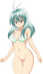 Rule 34 | 1girl, blush, bottomless, bra, cleft of venus, green hair, highres, legs, lingerie, long hair, nude filter, purple eyes, pussy, run elsie jewelria, solo, thighs, third-party edit, to love-ru, transparent background, uncensored, underwear, vector trace