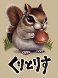 Rule 34 | chestnut, no humans, original, pun, sakkan, squirrel