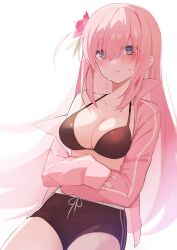 Rule 34 | 1girl, absurdres, aqua eyes, black bra, black shorts, blush, bocchi the rock!, bra, breasts, cleavage, collarbone, commentary, detached hair, flower, gotoh hitori, hair flower, hair ornament, hair over eyes, highres, jacket, large breasts, long hair, long sleeves, looking at viewer, off shoulder, one side up, open clothes, open jacket, parted lips, pink hair, pink jacket, shorts, simple background, sleeves past wrists, solo, sweatdrop, symbol-only commentary, thighs, track jacket, uehara (dormmmmir ), underwear, white background