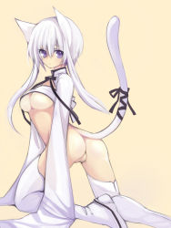 Rule 34 | 1girl, animal ears, ass, blush, bottomless, breasts, cat ears, cat tail, cleavage, no panties, original, pussy, saibashi, solo, tail, uncensored, underboob, white hair