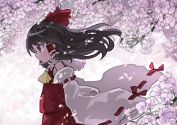 Rule 34 | 1girl, ascot, black hair, blurry, blurry foreground, bow, branch, brown eyes, cherry blossoms, commentary request, depth of field, detached sleeves, floating hair, flower, frilled shirt collar, frills, from side, hair bow, hair tubes, hakurei reimu, highres, kibisake, long hair, long sleeves, looking away, petals, profile, purple flower, red bow, red shirt, red skirt, ribbon-trimmed sleeves, ribbon trim, sarashi, shirt, skirt, sleeveless, sleeveless shirt, solo, touhou, upper body, white sleeves, wide sleeves, wind, yellow ascot