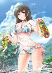 Rule 34 | 10s, 1girl, bare arms, bikini, bikini under clothes, black hair, blue sky, blush, breasts, bridge, choker, choukai (kancolle), closed mouth, cloud, collarbone, contrapposto, cross-laced clothes, day, dripping, gelatin, glasses, gluteal fold, green bikini, green footwear, groin, headgear, highres, holding, holding shoes, kantai collection, kuroneko (fragrant olive), legs apart, long hair, looking at viewer, medium breasts, mouth hold, multi-strapped bikini bottom, navel, outdoors, pole, power lines, product placement, railing, red eyes, reebok, reebok pump, revision, river, rock, see-through, shirt, shoes, unworn shoes, sky, smile, sneakers, solo, standing, stomach, string bikini, swimsuit, t-shirt, transparent, tree, tupet, underboob, wading, wet, wet clothes, wet hair, wet shirt