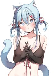 Rule 34 | 1girl, ahoge, animal ear fluff, animal ears, bare shoulders, black bra, black gloves, blue eyes, blue hair, blush, bra, breasts, cat ears, cat girl, cat tail, collarbone, commentary request, elbow gloves, gloves, hair between eyes, hair ornament, hairclip, hands up, highres, long hair, looking at viewer, medium breasts, navel, original, own hands clasped, own hands together, parted lips, pom pom (clothes), pom pom hair ornament, shin no tenpii, simple background, solo, stomach, tail, tail raised, two side up, underwear, upper body, white background