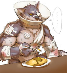 Rule 34 | ..., bandages, eyepatch, food, furry, furry male, injury, jacketbear, muscular, omelet, omurice, original, pet cone, scar, snout, solo
