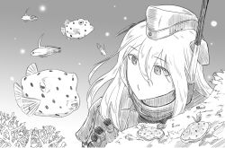 Rule 34 | 1girl, coral, fish, garrison cap, greyscale, hat, kantai collection, long hair, monochrome, u-511 (kancolle), underwater