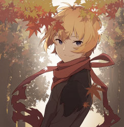 Rule 34 | 1boy, ahoge, autumn leaves, bad id, bad pixiv id, billy the kid (fate), black eyes, blonde hair, brown shirt, eyebrows, falling leaves, fate/grand order, fate (series), highres, leaf, long sleeves, looking at viewer, male focus, outdoors, red scarf, scarf, shirt, short hair, smile, solo, sunlight, tattered scarf, thunderstriker, torn clothes, torn scarf, tree, upper body