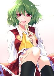 Rule 34 | 1girl, :d, ascot, black socks, blush, breasts, collared shirt, eyelashes, feet out of frame, flower, frilled ascot, frills, green hair, happy, highres, holding, holding flower, katayama kei, kazami yuuka, knees, lips, long sleeves, medium breasts, open mouth, plaid, plaid skirt, plaid vest, red eyes, red skirt, red vest, shirt, short hair, sidelighting, sitting, skirt, smile, socks, solo, tongue, touhou, vest, white background, white flower, white shirt, white sleeves, wing collar, yellow ascot