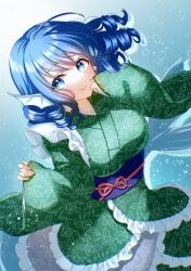 Rule 34 | 1girl, alto2019, blue eyes, blue hair, blue sash, breasts, closed mouth, commentary request, drill hair, drill sidelocks, fins, frilled kimono, frills, green kimono, head fins, highres, japanese clothes, kimono, kneeless mermaid, large breasts, long sleeves, mermaid, monster girl, obi, sash, sidelocks, smile, solo, touhou, underwear, upper body, wakasagihime, wide sleeves