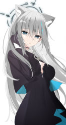 Rule 34 | 1girl, absurdres, aged up, animal ears, black dress, black gloves, blue archive, blue dress, blue eyes, breasts, cleavage, dress, gloves, grey hair, hair ornament, halo, hand in own hair, highres, liu liu, long hair, looking at viewer, medium breasts, shiroko (blue archive), shiroko terror (blue archive), simple background, solo, two-tone dress, white background