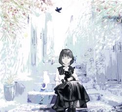 Rule 34 | 1girl, animal, bad id, bad twitter id, bird, black eyes, black footwear, black fur, black hair, black skirt, boots, bow, bowtie, cat, closed mouth, crow, full body, green eyes, highres, holding, holding animal, holding cat, long skirt, long sleeves, looking at viewer, original, outdoors, plant, shirone (coxo ii), shirt, short hair, sitting, skirt, stairs, town, white bow, white bowtie, white fur, white shirt