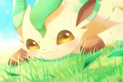 Rule 34 | alopias, blush, brown eyes, character name, closed mouth, commentary, creatures (company), dated, day, game freak, gen 4 pokemon, grass, leafeon, falling leaves, looking at viewer, nintendo, no humans, outdoors, pokemon, pokemon (creature), smile, solo, toes