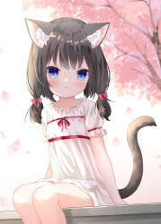 Rule 34 | 1girl, animal ear fluff, animal ears, black hair, blue eyes, blush, cat ears, cat girl, cat tail, cherry blossoms, child, dress, long hair, looking at viewer, original, outdoors, ribbon, short dress, short sleeves, sitting, smile, solo, tail, tree, twintails, umi suzume, white dress