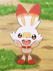 Rule 34 | ao anpk, blurry, blurry background, bunny day, commentary request, creatures (company), fang, game freak, gen 8 pokemon, grass, hands up, looking up, nintendo, no humans, open mouth, pokemon, pokemon (creature), rabbit, scorbunny, smile, solo, standing, tongue