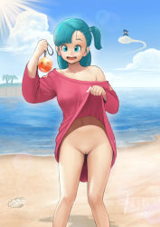 Rule 34 | 1boy, 1girl, beach, blue eyes, blue hair, blue sky, bulma, cleft of venus, clothes lift, day, dragon ball, dragon ball (classic), dragon ball (object), dress, dress lift, flying nimbus, highres, lifting own clothes, looking at viewer, mezzo (orbanga21), navel, no panties, ocean, open mouth, palm tree, pussy, sand, seashell, shell, sky, smile, son goku, stomach, tree, uncensored
