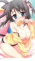 Rule 34 | 1girl, absurdres, animal ears, barefoot, black hair, blue eyes, blush, breast slip, breasts, cat ears, cat tail, cream, food, hair ornament, hairclip, hatsuyuki sakura, highres, lace, lace panties, large breasts, moribe (rabumanyo), mouth hold, nipples, non-web source, off shoulder, one breast out, open clothes, panties, paw pose, pink panties, polka dot, polka dot panties, scan, seiza, shinonome nozomu, shiny skin, short hair, side ponytail, sitting, solo, suggestive fluid, sweater, tail, taiyaki, underwear, wagashi, yes-no pillow