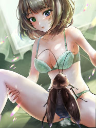 Rule 34 | 1girl, arm support, bestiality, blue eyes, bra, breasts, bug, clothing aside, cum, day, dot nose, ejaculation, frilled bra, frilled panties, frills, green bra, green eyes, green hair, green panties, heterochromia, horochi(250po), idolmaster, idolmaster cinderella girls, indoors, large breasts, looking at viewer, on bed, open mouth, panties, panties aside, sex, short hair, sitting, spread legs, takagaki kaede, underwear, underwear only, window