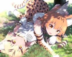 Rule 34 | 10s, 2girls, :&lt;, :d, animal ears, bare shoulders, blonde hair, blurry, blush, bow, bowtie, cat ears, cat tail, dappled sunlight, day, depth of field, elbow gloves, fang, gloves, goribote, grass, kemono friends, looking at viewer, lying, lying on person, multicolored hair, multiple girls, on back, on stomach, open mouth, outdoors, paw pose, revision, sand cat (kemono friends), serval (kemono friends), serval print, serval tail, shade, shirt, short hair, skirt, sleeveless, smile, streaked hair, sunlight, tail, thighhighs, tree shade, white shirt, yellow eyes