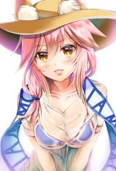 Rule 34 | 1girl, animal ear fluff, animal ears, artist request, bikini, blue bikini, blush, breasts, cleavage, collarbone, ears through headwear, fang, fate/grand order, fate (series), fox ears, fox girl, hat, highres, large breasts, lips, looking at viewer, open mouth, pink hair, shirt, side-tie bikini bottom, simple background, skin fang, solo, straw hat, swimsuit, tamamo (fate), tamamo no mae (fate/extra), tamamo no mae (swimsuit lancer) (fate), tamamo no mae (swimsuit lancer) (second ascension) (fate), wet, wet clothes, wet shirt, white background, yellow eyes