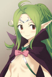 Rule 34 | 1girl, adapted costume, ahoge, blush, bow, brooch, brown eyes, cloak, fire emblem, fire emblem awakening, flat chest, green hair, highres, jewelry, long hair, michael f91, nintendo, nowi (fire emblem), pointy ears, simple background, smile, solo, tiara