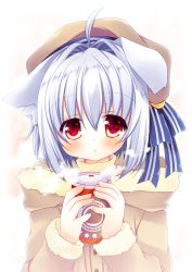 Rule 34 | 1girl, :o, alternate costume, alternate headwear, animal ears, coat, coffee cup, contemporary, cup, disposable cup, hikanyan, inubashiri momiji, red eyes, short hair, silver hair, solo, steam, touhou, winter clothes, winter coat, wolf ears